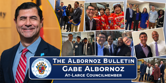 The Albornoz Bulletin