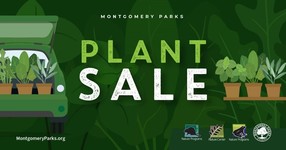 Plant Sale