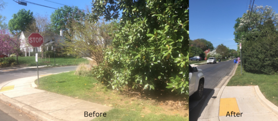 Side by side: Before and after of overgrown shrubbery trimmed by MCDOT.