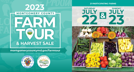 Farm Tour and Harvest Sale on Saturday-Sunday, July 22-23, Will Offer Access to Fresh Produce, Farm Animals and Craft Beverage Industry 