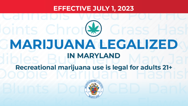 Graphic on legalization of recreational marijuana.