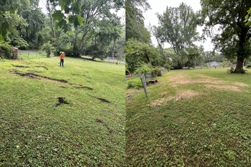 Before and after photos of repairs to damaged yard.
