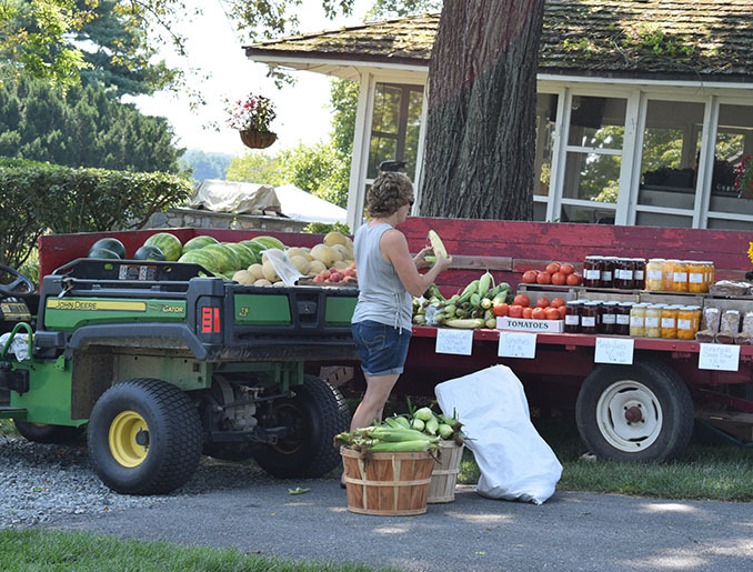 Farm Tour roadside stand