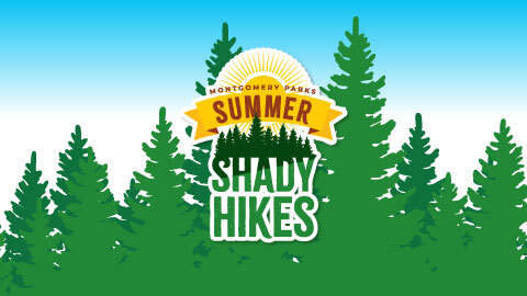 ‘Summer Shady Hikes’ Will Offer Beginning Hikers Opportunities to Stay Fit and Enjoy Nature, Despite the Heat 