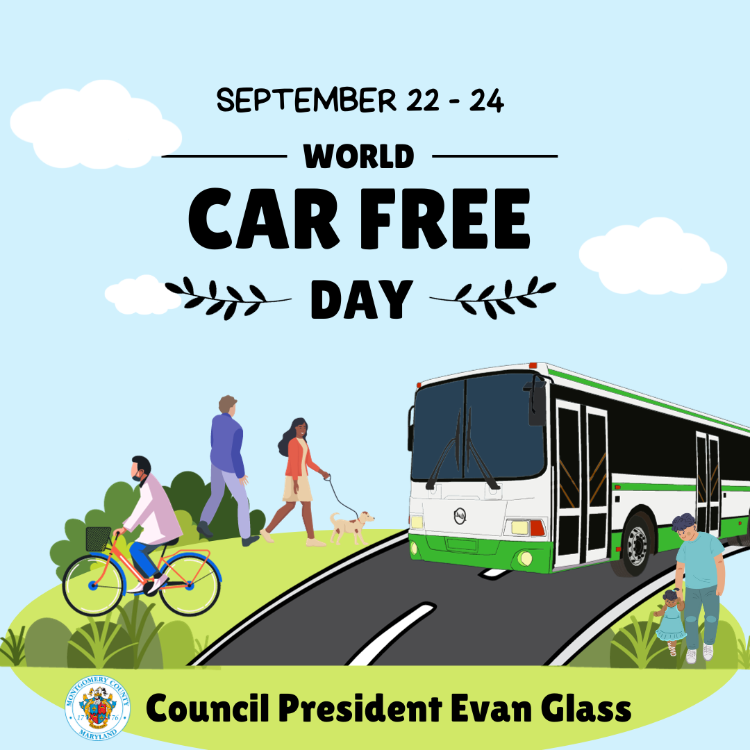 National car free day