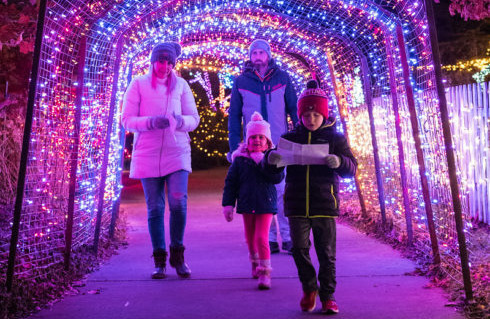 Tickets Now on Sale for Winter ‘Garden of Lights’ Display at Brookside Gardens in Wheaton 