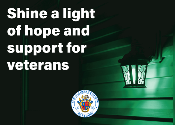 Veterans Day Approaches on Saturday, Nov. 11: County Joins ‘Operation Green Light,’ 