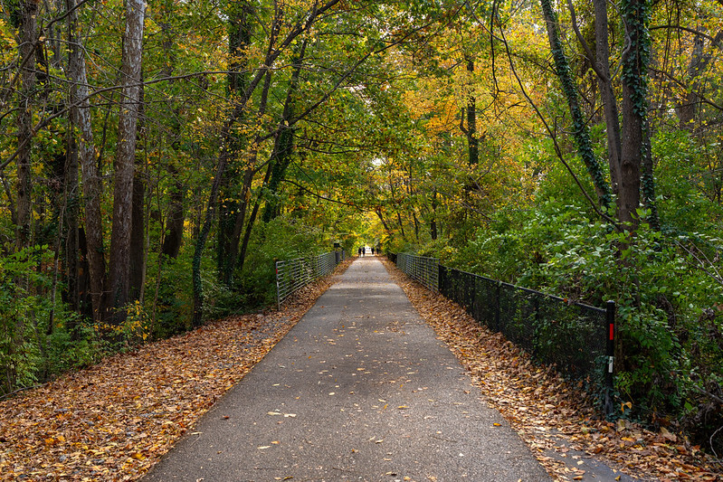 Nature path along the Capital Crescent Trail.