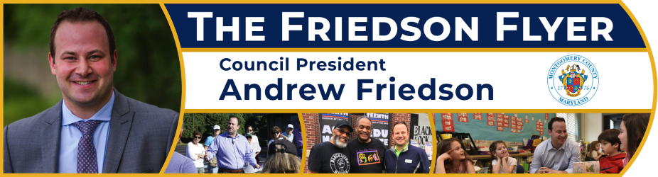 The Friedson Flyer - Newsletter Banner