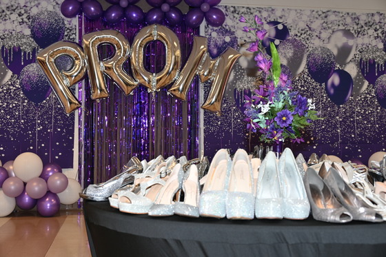 Donate New or Gently Used Items for Third Annual ‘Project Prom Dress’ 