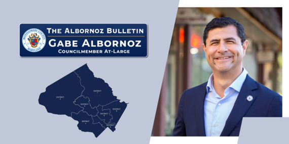 The Albornoz Bulletin - English