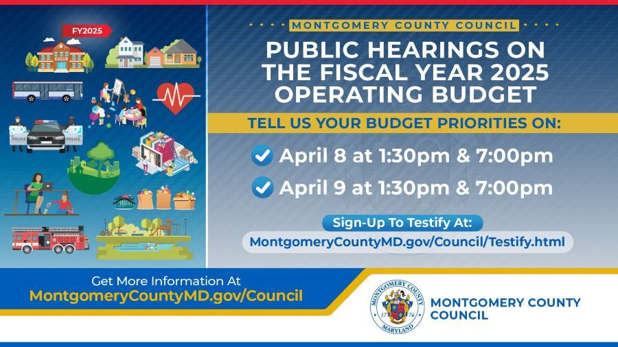 Council budget public hearing infographic.