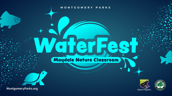 waterfest