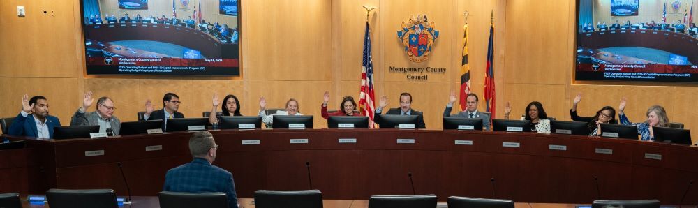 Councilmembers take FY25 operating budget straw vote at the dais.