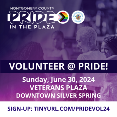 Volunteer at Pride in the Plaza