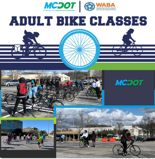 MCDOT Adult Biking Graphic