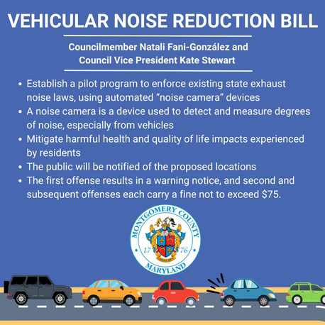 Noise Camera bill summary graphic