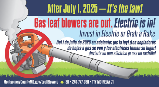 Gas leaf blower law graphic