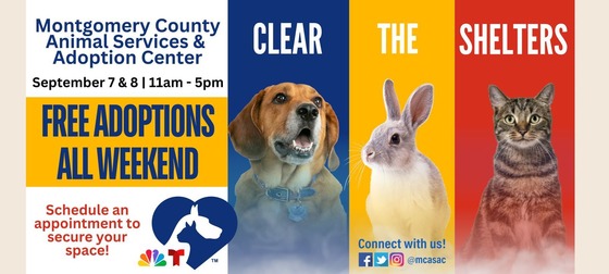 Animal Services and Adoption Center Will Wave Adoption Fees Sept. 7-8 in Joining NBCUniversal Local’s ‘Clear the Shelters’ Pet Adoption Campaign  