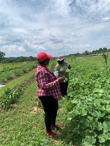 Manna Food Center coordinated a series of site visits this summer featuring Farm to Food Bank partners