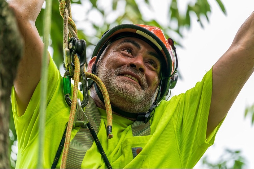 Adventure Seekers 55-and-over Can Climb a Tree at Montgomery Parks Canopy Connection on Wednesday, Oct. 9 