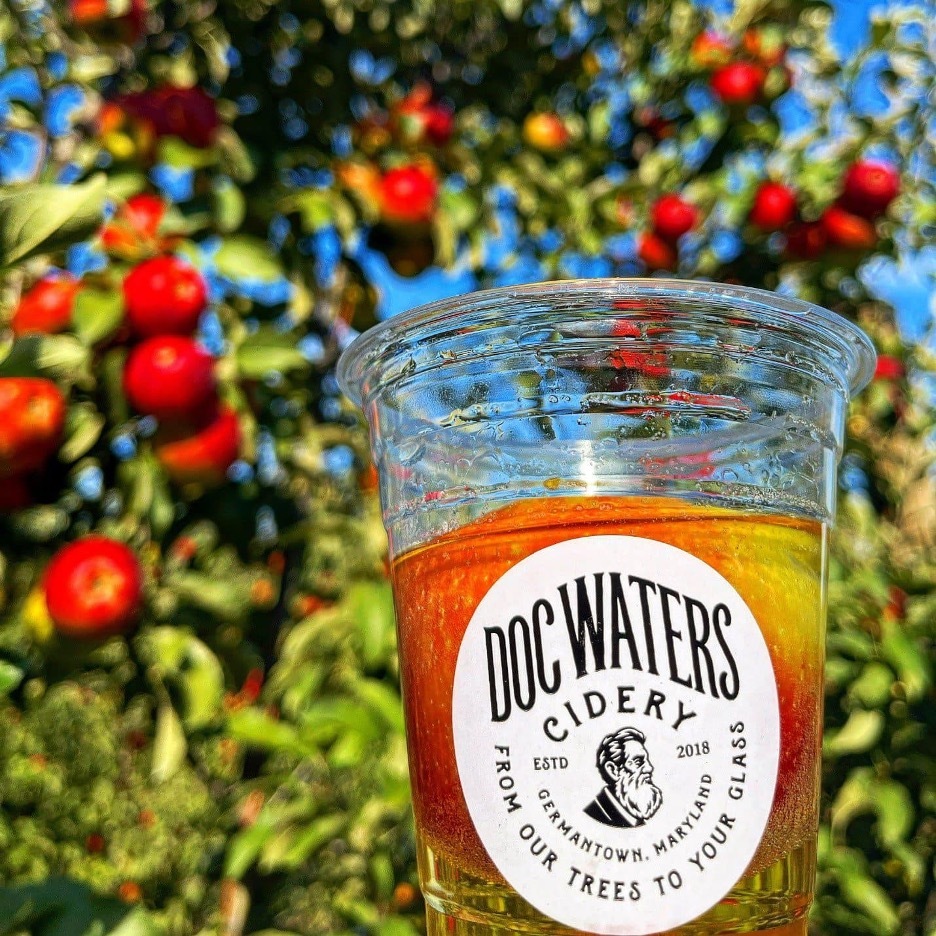 Fall Is the Right Time to go on a ‘Cider Road Trip’ Throughout the County 