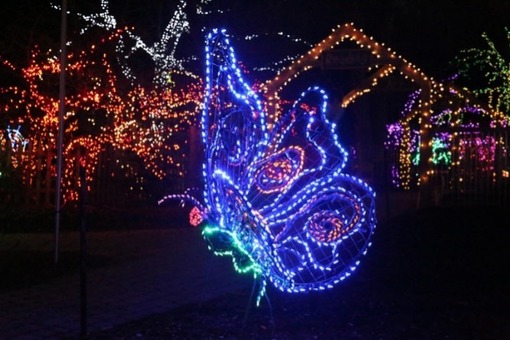 Annual ‘Garden of Lights’ Display at Brookside Gardens in Wheaton Advance Tickets Now on Sale 