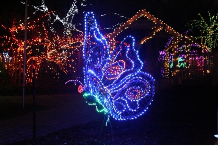 Annual ‘Garden of Lights’ Display at Brookside Gardens in Wheaton Advance Tickets Now on Sale 