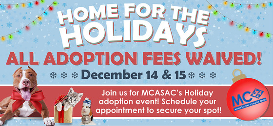 free adoptions