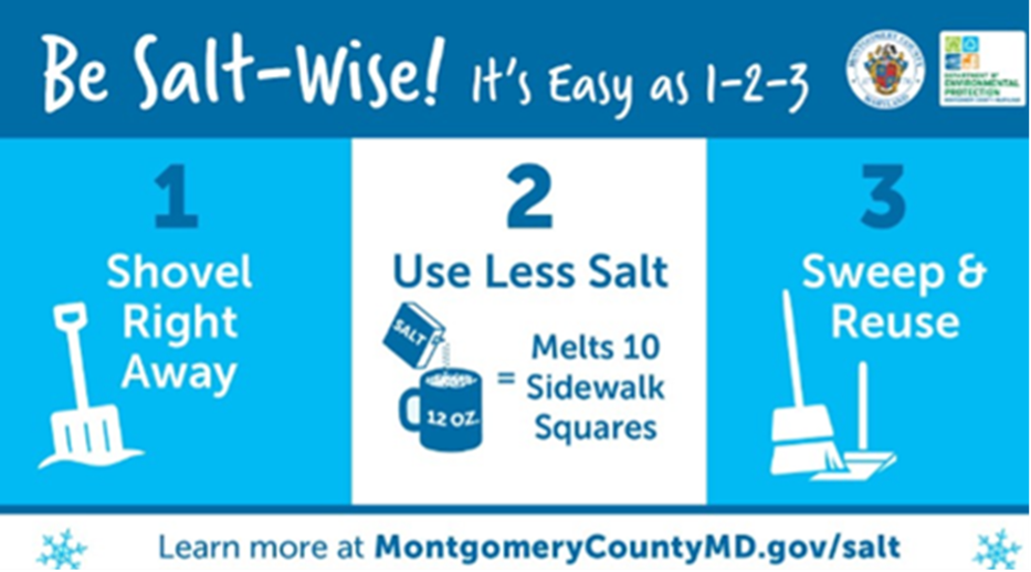 SaltWise Campaign Launched, Encouraging Sustainable Salt Practices Amid Icy Conditions 