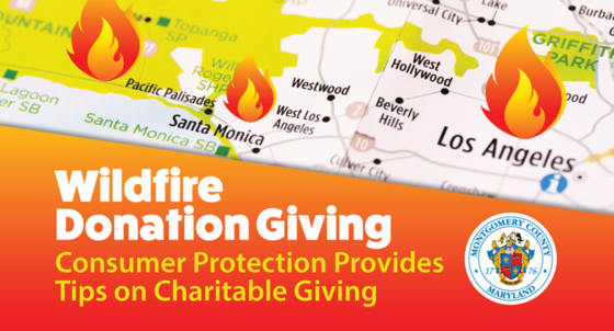 wildfire donation giving