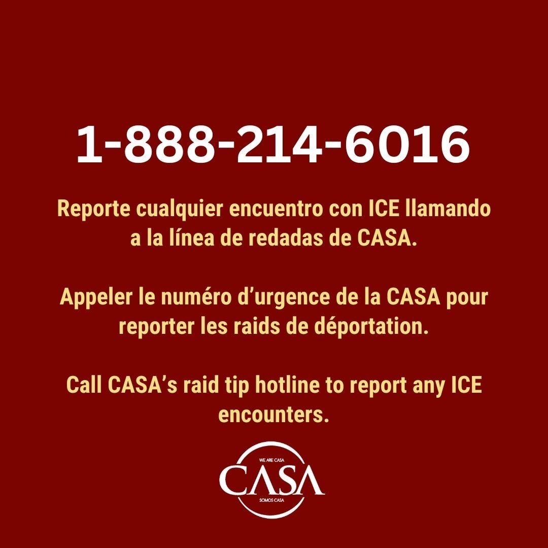 Graphic displaying CASA's ICE tip hotline