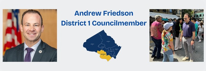 Councilmember Friedson Masthead