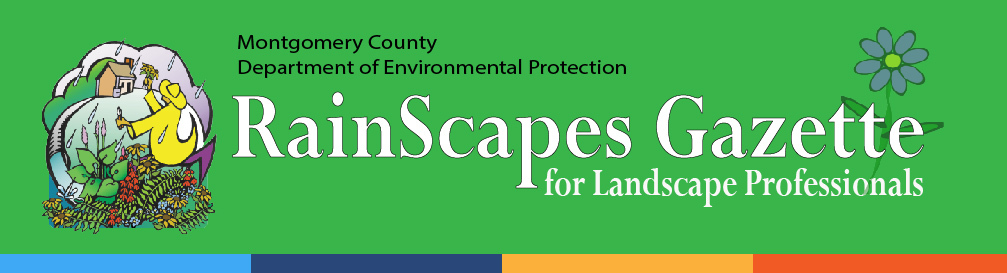 Spring edition of RainScapes Gazette