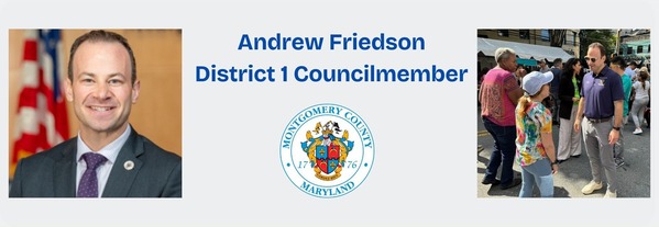 Councilmember Friedson Masthead