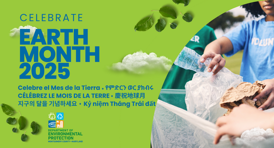 Celebrate Earth Month