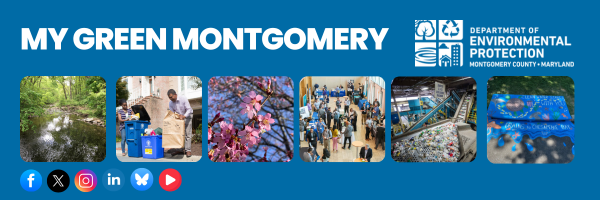 My Green Montgomery Banner