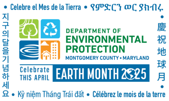Take Action in April to Celebrate Earth Month  