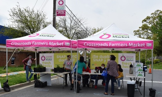 Buy Fresh Produce and Support Farms at County Farmers Markets 