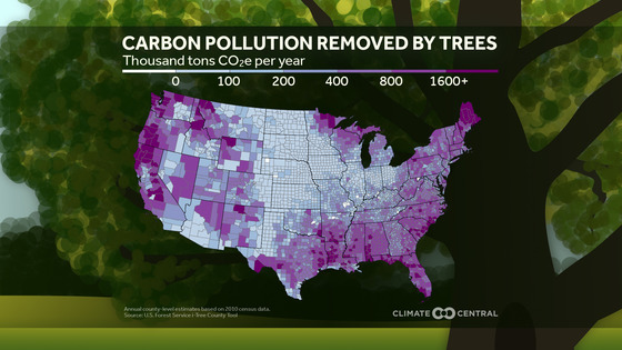 Map of Carbon Reduction from Trees