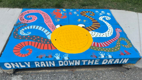 storm drain art with colorful octopus 