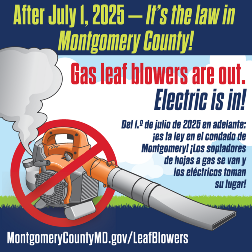 gas leaf blowers are out