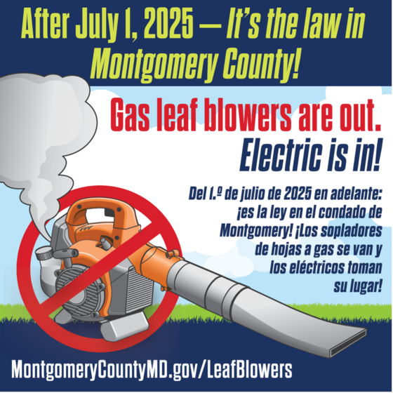 Gas-Powered Leaf Blowers Are Banned Beginning July 1