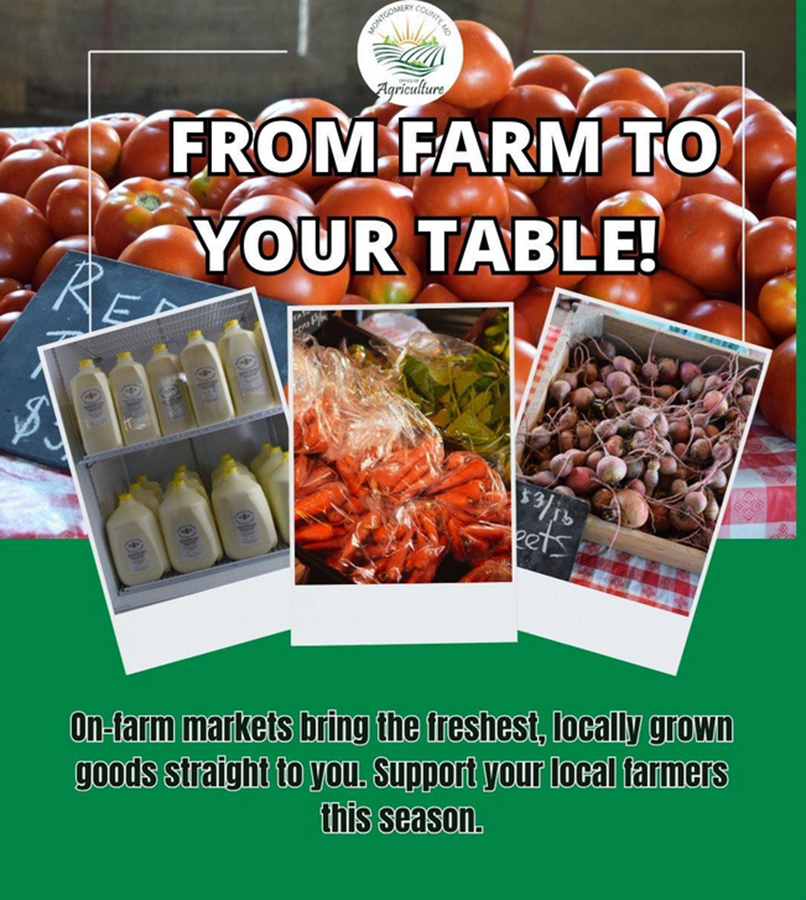 buy local and seasonal