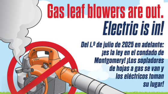 Gas leaf blowers are out. Electric is in. July 1