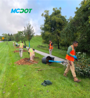 mcdotplantingtrees2