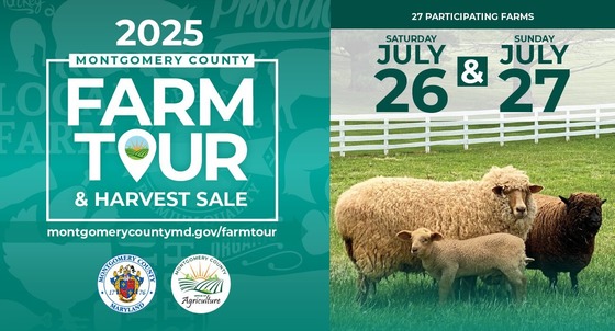 Montgomery County’s Farm Tour and Harvest Sale Returns July 26–27 with 27 Farms Offering Fresh Produce and Outdoor Fun