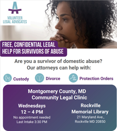 volunteer legal advocates