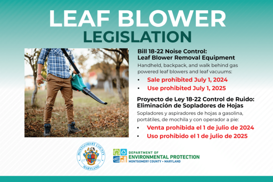 Leaf Blower
