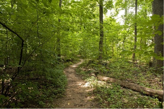 https://engage.montgomeryparks.org/en/projects/natural-surface-trails